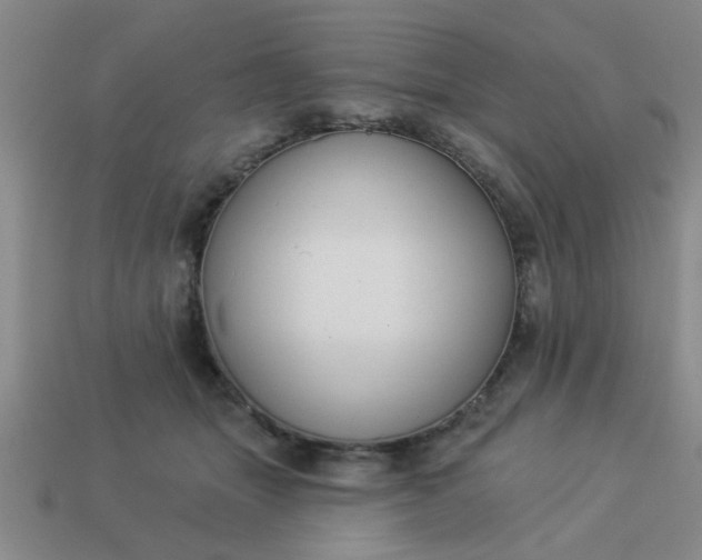 X0000114130463200910221508