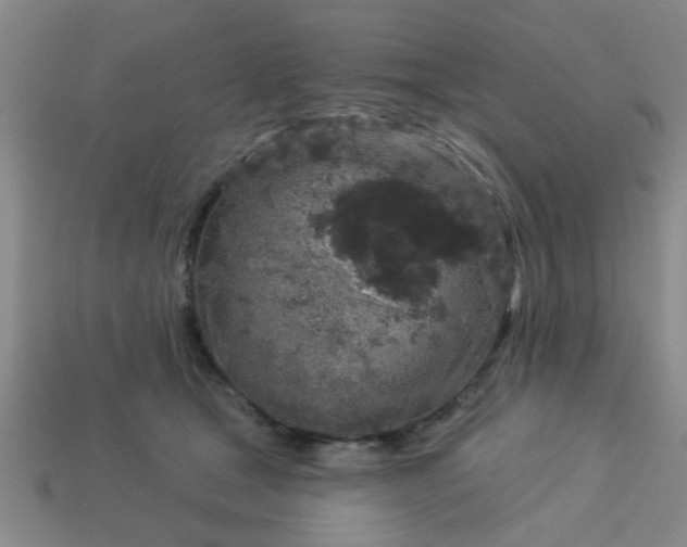 X0000114130465200910221508