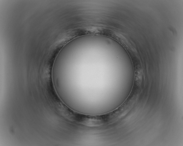 X0000114130466200910221508