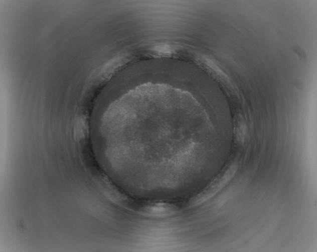 X0000114130467200910221508