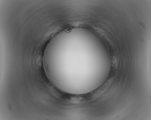 X0000114130470200910221508