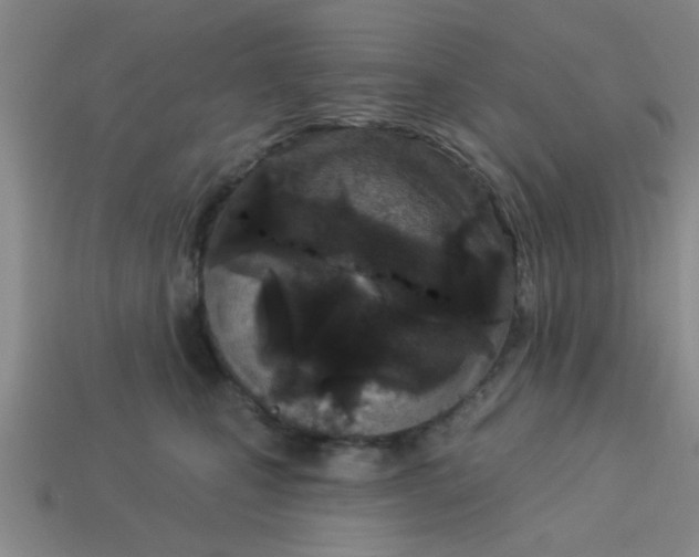 X0000114130471200910221508