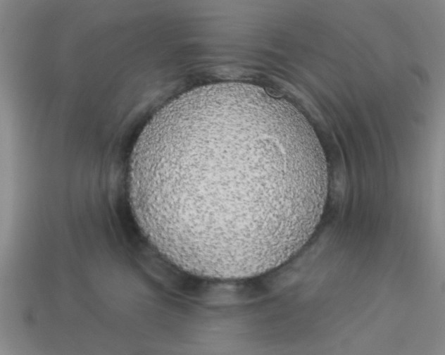 X0000114130473200910221508