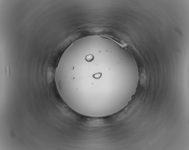 X0000114130476200910221508