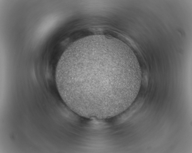 X0000114130477200910221508