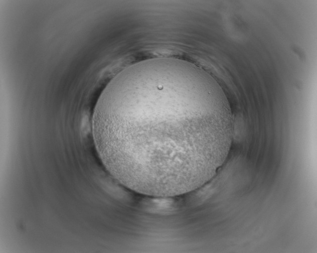 X0000114130478200910221508