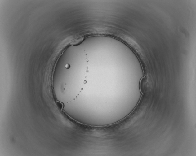 X0000114130481200910221507