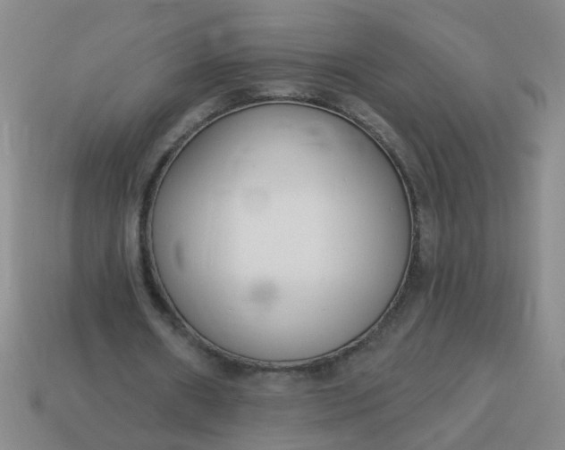 X0000114130482200910221507