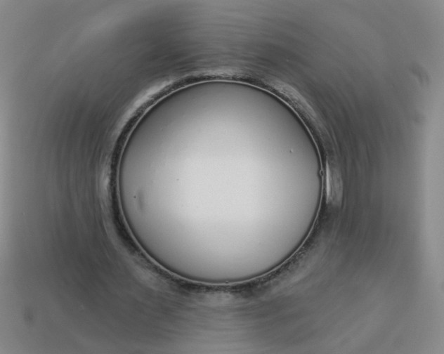 X0000114130483200910221507