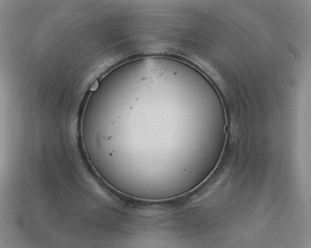 X0000114130485200910221507