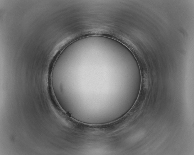 X0000114130486200910221507