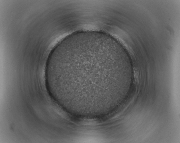 X0000114130487200910221507