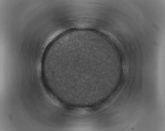 X0000114130488200910221507