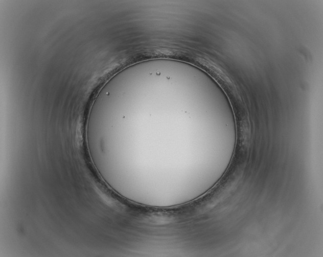 X0000114130489200910221507