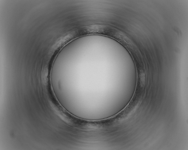 X0000114130490200910221507