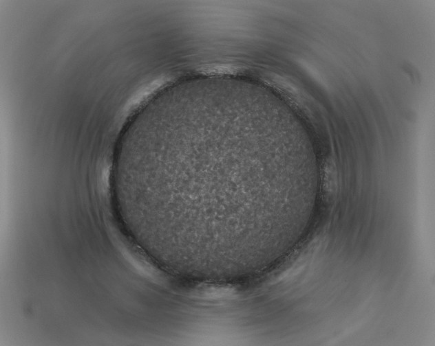 X0000114130491200910221507