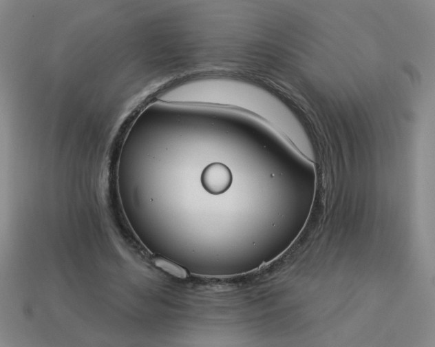 X0000114130492200910221507