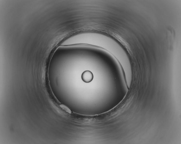 X0000114130493200910221507