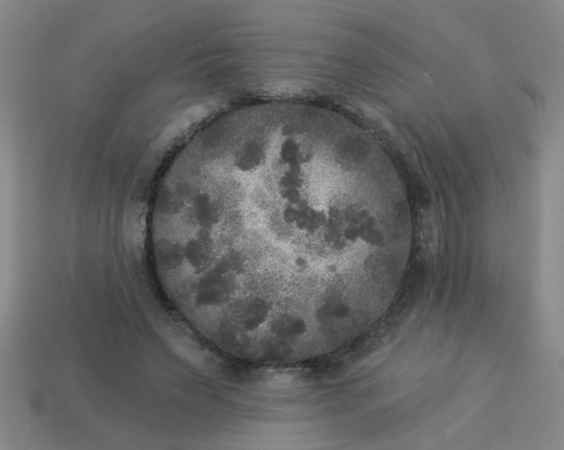 X0000114130495200910221507