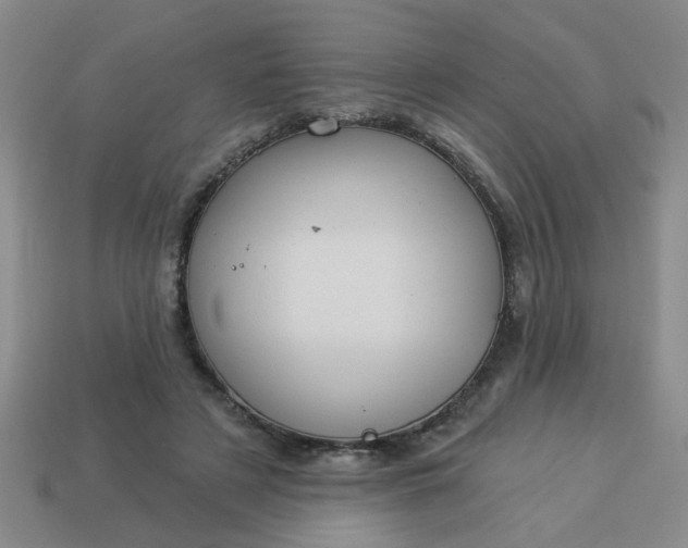 X0000114130497200910221507