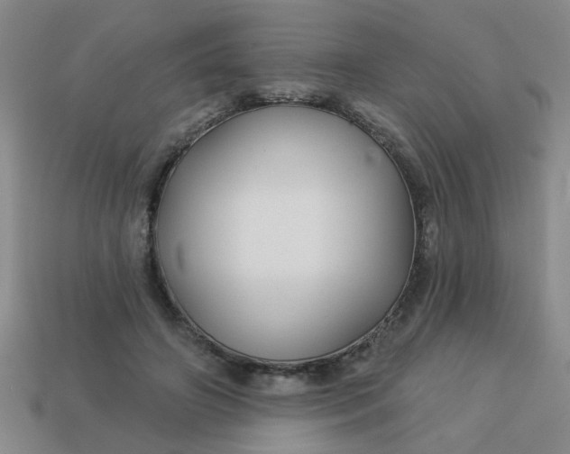 X0000114130498200910221507