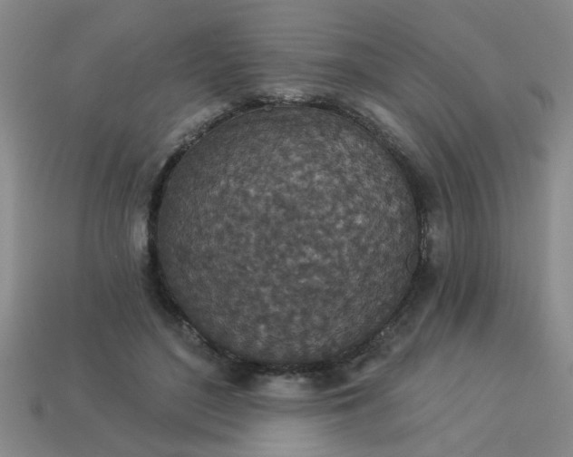 X0000114130500200910221507