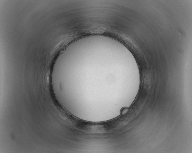 X0000114130501200910221507