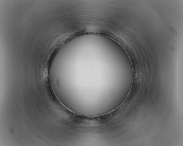 X0000114130502200910221507