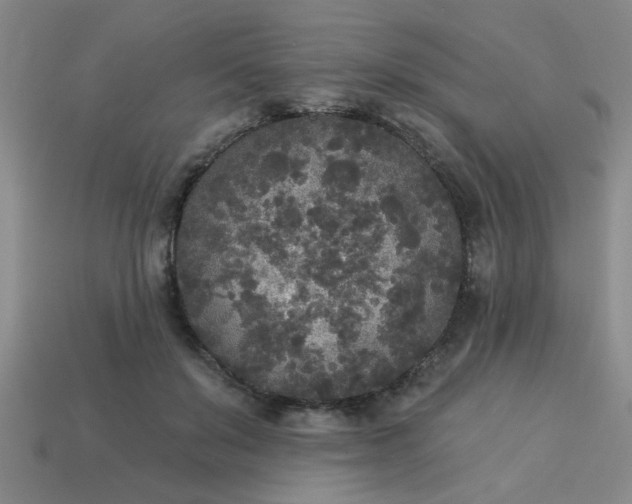 X0000114130503200910221507