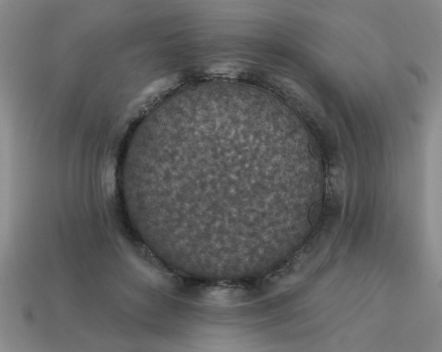 X0000114130504200910221507