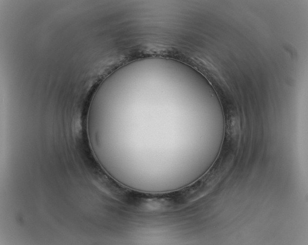 X0000114130508200910221507