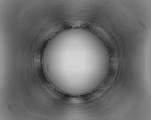 X0000114130510200910221507