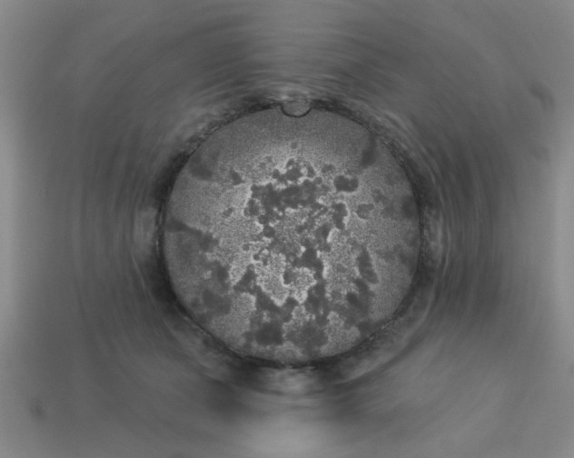 X0000114130511200910221507