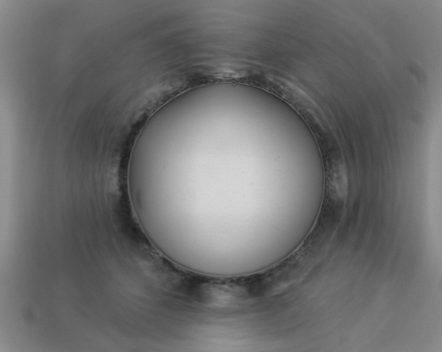 X0000114130512200910221507