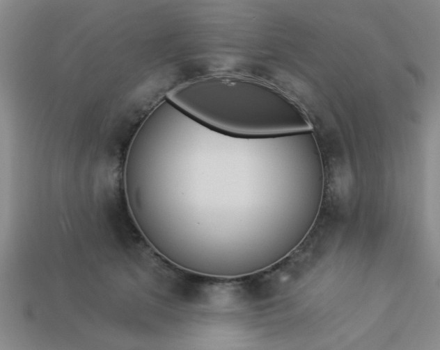 X0000114130513200910221507