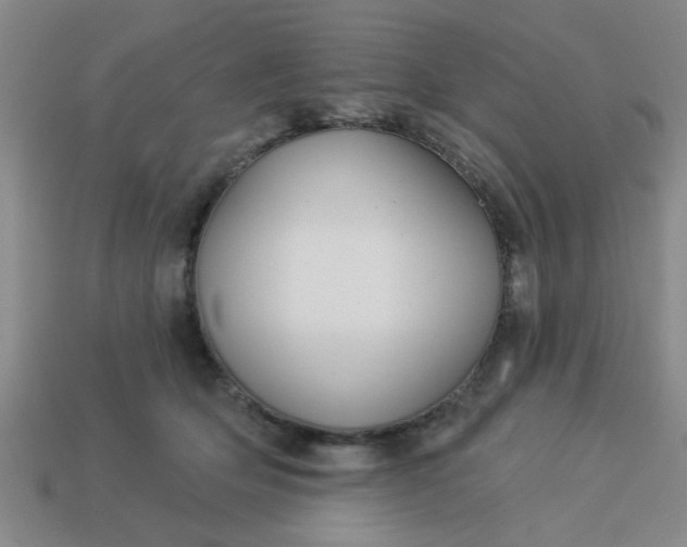 X0000114130514200910221507