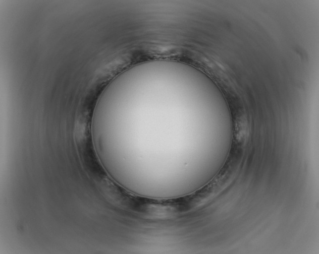 X0000114130515200910221507