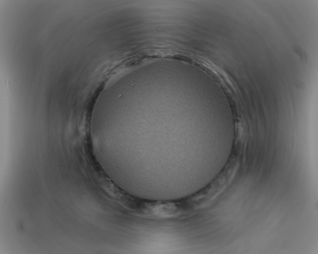 X0000114130517200910221507