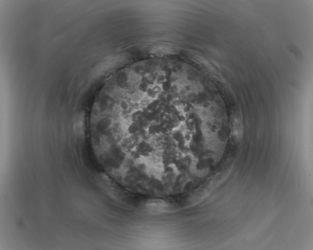 X0000114130519200910221507