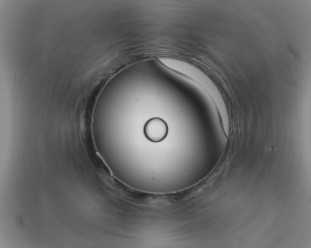 X0000114130520200910221507