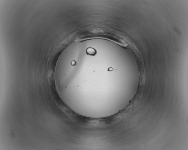 X0000114130521200910221507