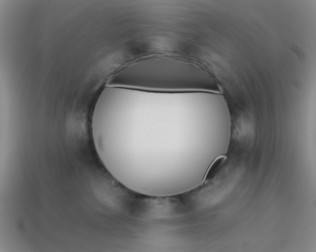 X0000114130524200910221507