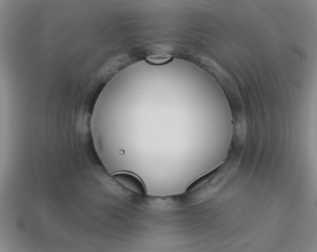 X0000114130525200910221507