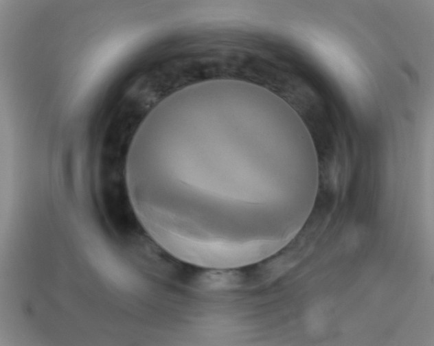 X0000114130526200910221507