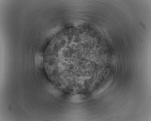 X0000114130527200910221507