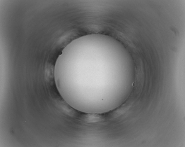 X0000114130528200910221507