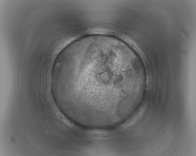 X0000114130529200910221506