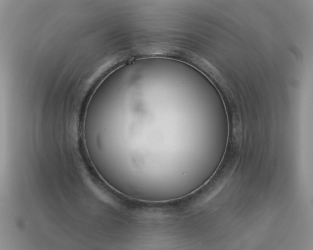 X0000114130530200910221506