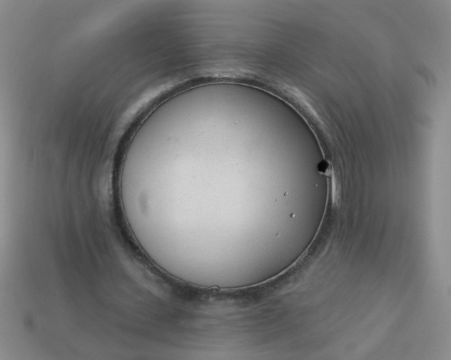 X0000114130531200910221506