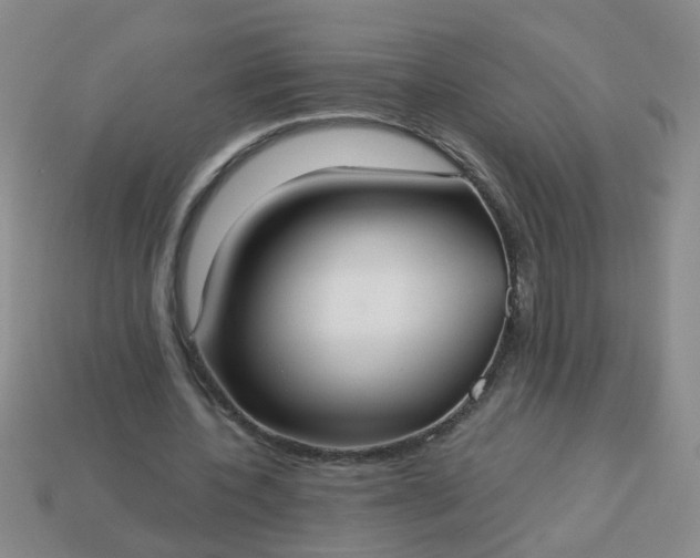 X0000114130532200910221506